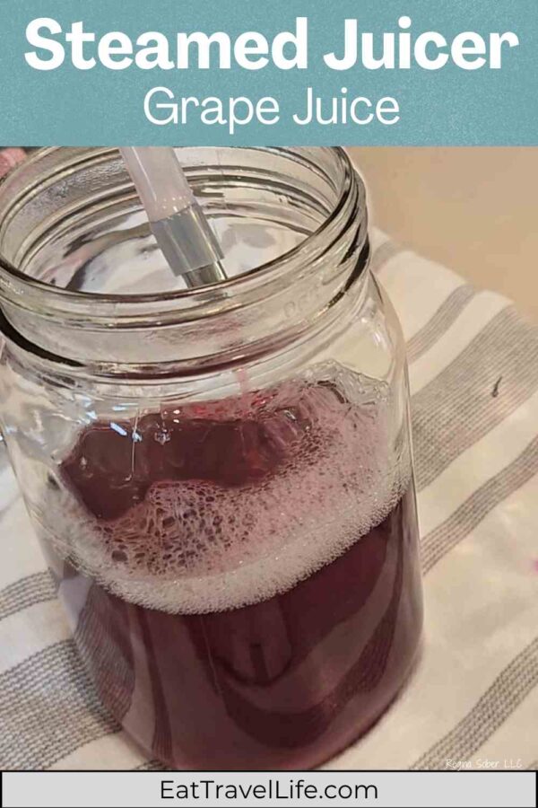 Make rich, homemade grape juice the easy way using a steam juicer. No crushing, no mess — just pure Concord grape flavor ready for canning or sipping.