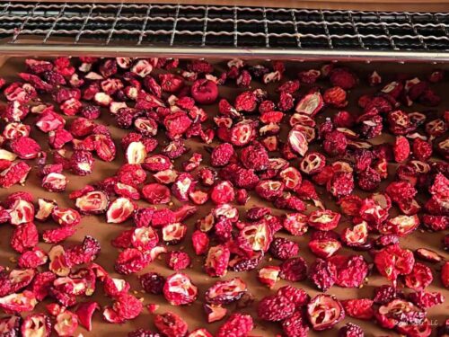 Stop Buying Dried Cranberries — Make Them at Home Instead