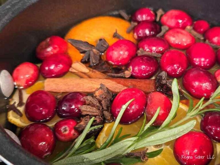 simmer pot with christmas aroma using fresh cranberries fresh oranges rosemary, whole cloves and star anise