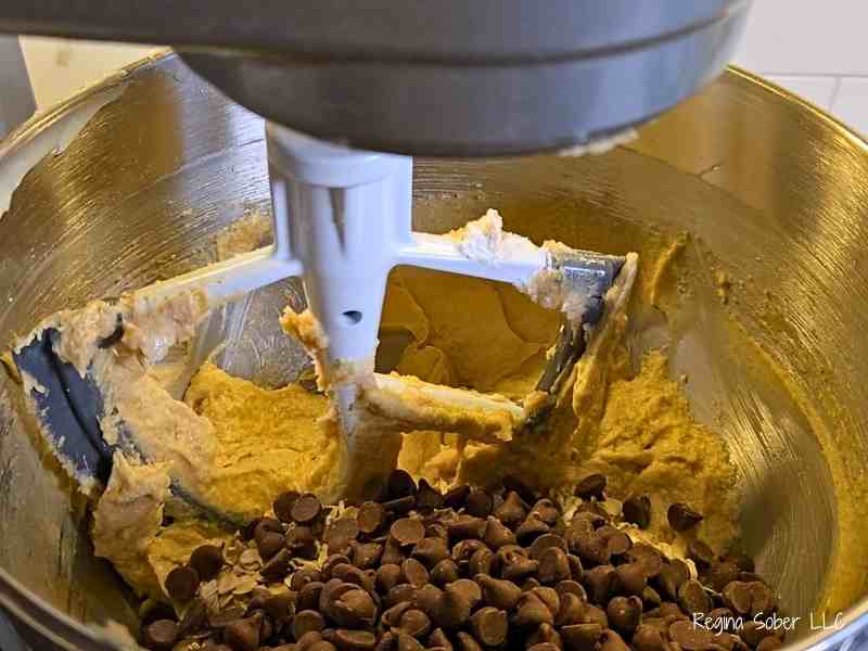 old fashioned oatmeal and chocolate chips